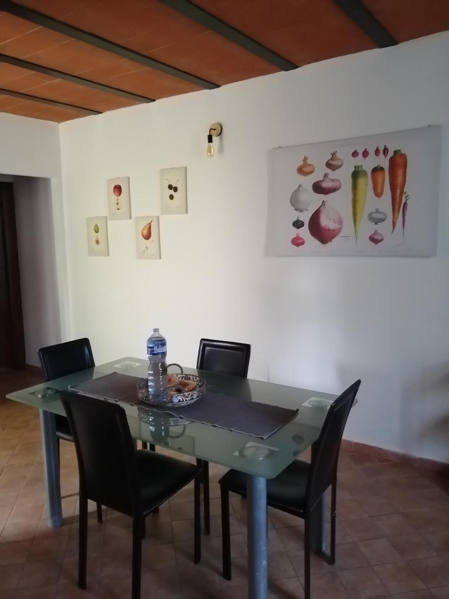 比萨A Casa Mia公寓 外观 照片
